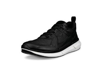 Bilde av ECCO BIOM 2.2 Gtx