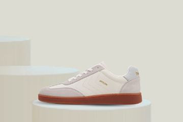 Bilde av hummel vm78