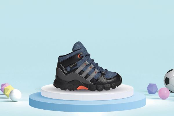 Bilde av adidas terrex gtx