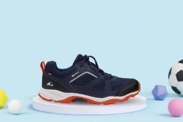 Bilde av Viking Nator Low GTX