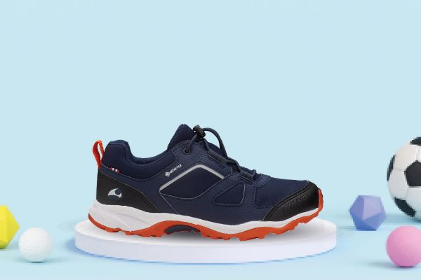 Bilde av Viking Nator Low GTX