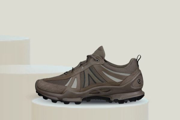 Bilde av ecco BIOM C-TRAIL GTX