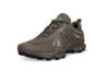 Bilde av ecco BIOM C-TRAIL GTX