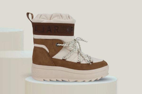 Bilde av pajar galaxy