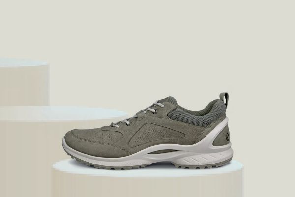 Bilde av ECCO biom energi