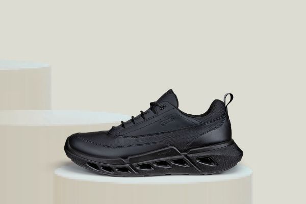 Bilde av ECCO BIOM 720 gtx