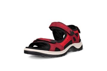 Bilde av Ecco Offroad Yucatan – Rød sandal til dame