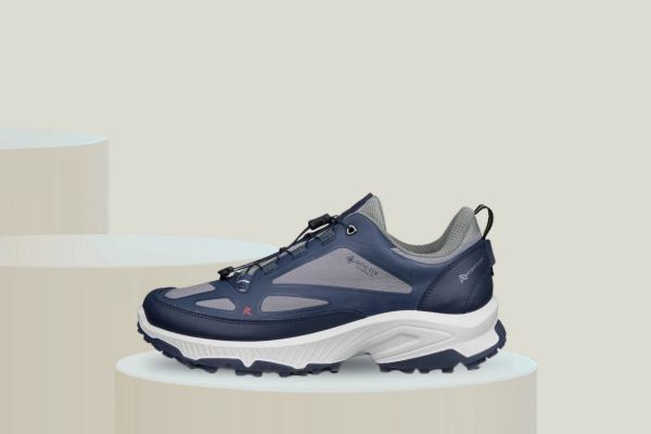 Bilde av ECCO RECEPTOR XP M GTX IF SHOE - Herre (blå)