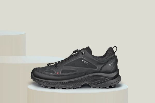 Bilde av ECCO RECEPTOR XP M GTX IF SHOE - Herre (svart)